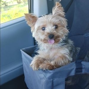 Meet your Posher, Touby